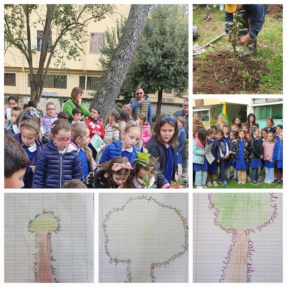 Scuola Dell Infanzia Arcobaleno E Sorriso Dei Bimbi Scuola Primaria